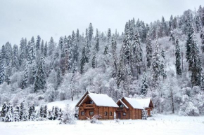 Mayak Chalet Resort Mykulychyn